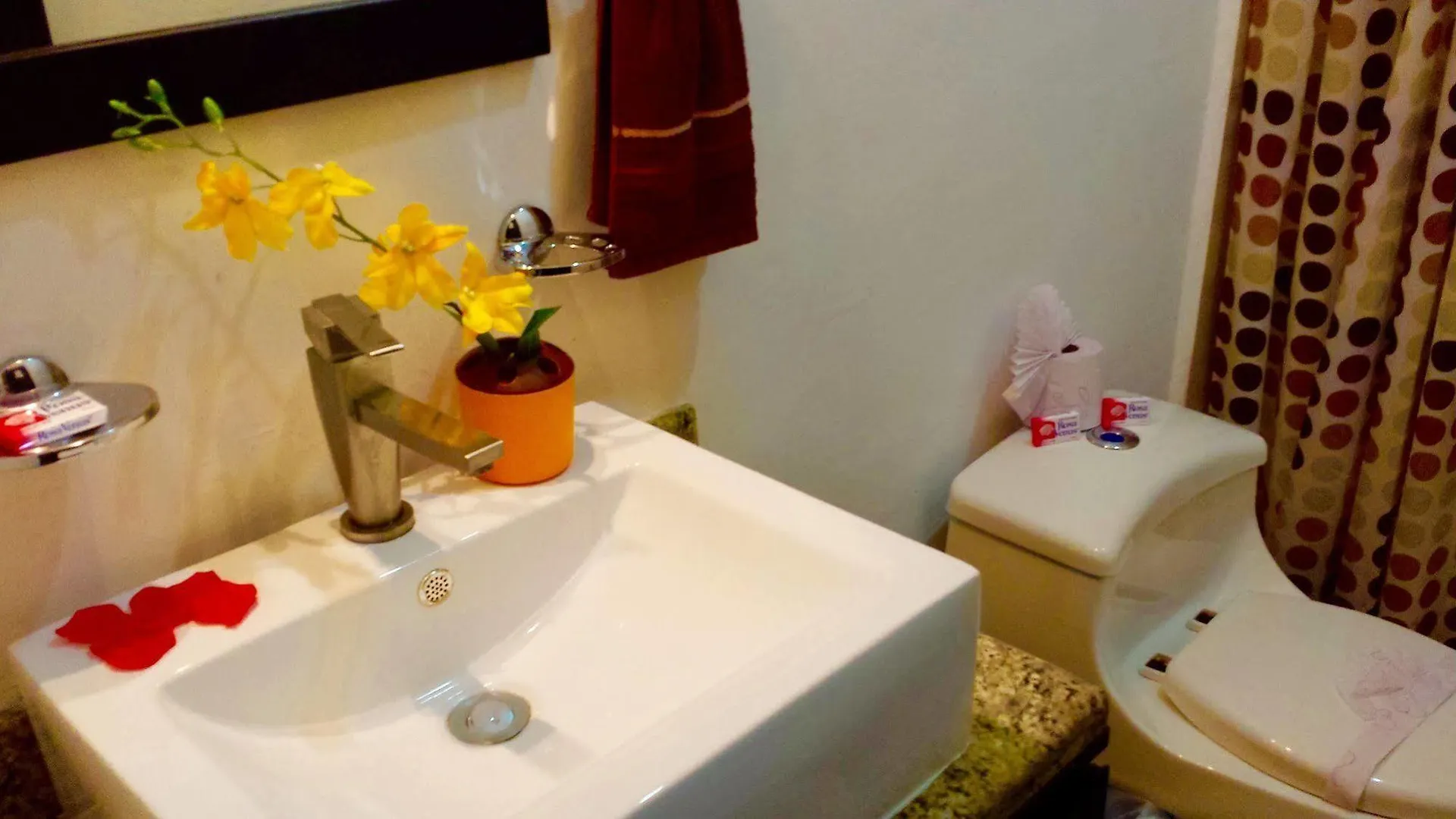 Maya Vacanze Playa Quinta B&B Playa del Carmen Bed & Breakfast